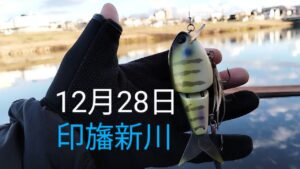 印旛沼水系　印旛新川バス釣り？2024.12.28