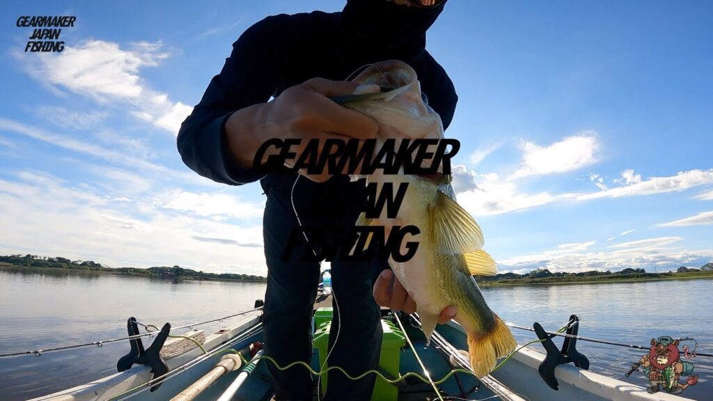 【多々良沼】 バス釣り 2024年10月末　ベコンクロー