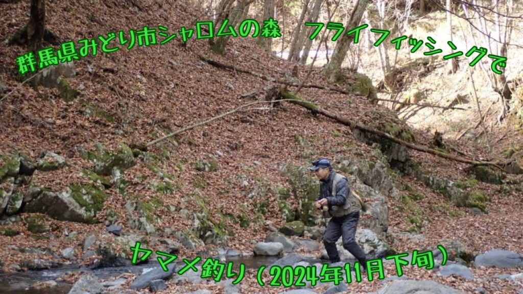 群馬県みどり市シャロムの森　フライフィッシングでヤマメ釣り（2024年11月下旬）