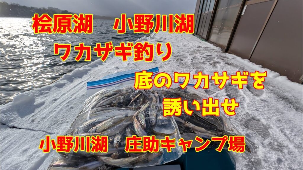 2024年12月14日　小野川湖　ワカザギ釣り　魚探に映らなくともワカサギは居る　庄助キャンプ場　屋形船