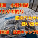 2024年12月14日　小野川湖　ワカザギ釣り　魚探に映らなくともワカサギは居る　庄助キャンプ場　屋形船