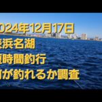2024年12月17日　表浜名湖　サビキ短時間釣行～🎵　