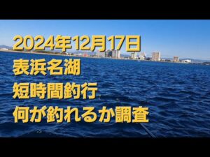 2024年12月17日　表浜名湖　サビキ短時間釣行～🎵　