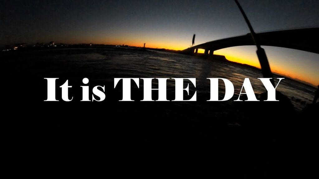 2024年12月17日の浜名湖新居海釣り公園の大曲りポイント　鰤、ブリ、鰤、ブリ　10本以上上がりました。　遠州灘、浜名湖、東海のショアジギング