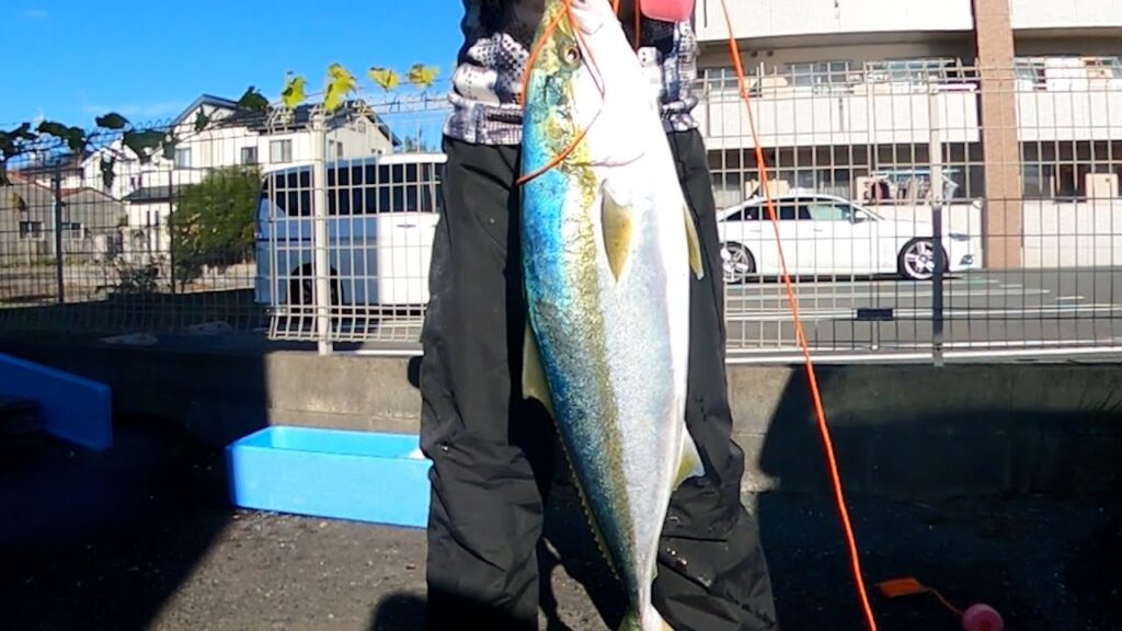 2024年12月4日早朝の大曲りポイント　静岡県湖西市新居海釣り公園　87㎝上がったよ。　浜名湖って最高です。