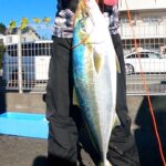 2024年12月4日早朝の大曲りポイント　静岡県湖西市新居海釣り公園　87㎝上がったよ。　浜名湖って最高です。