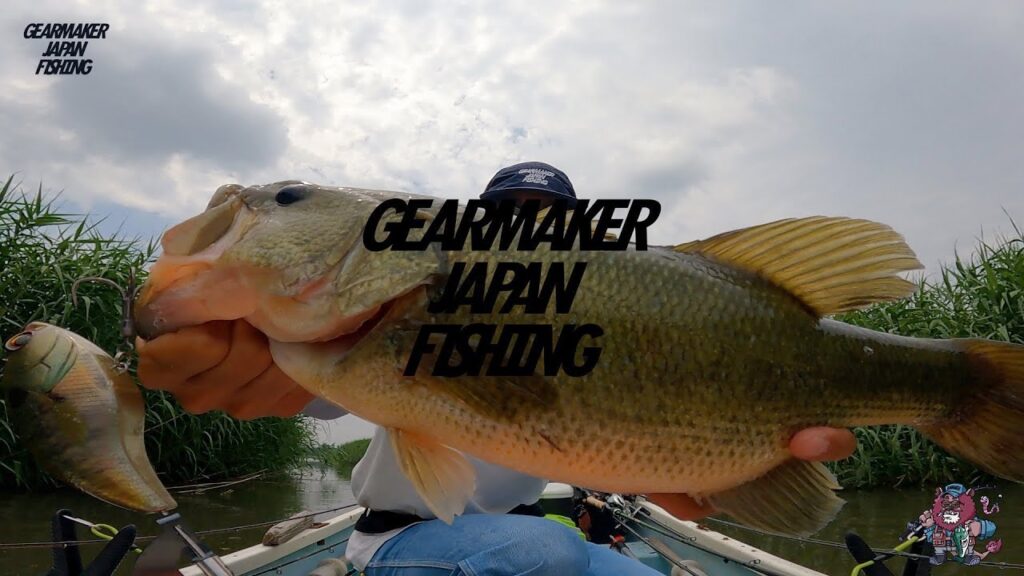 【多々良沼】 バス釣り 2024年6月下旬 イヴォークゼロ150