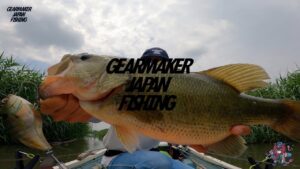 【多々良沼】 バス釣り 2024年6月下旬 イヴォークゼロ150