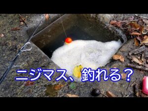 2024渓流釣りファイナル「9/30でも、ニジマスは釣れる!?」