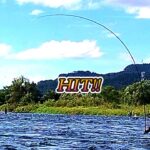 鮎釣り2025　噂のすごい竿で九頭竜川を釣ってみた【スペシャルエアロドライバー】