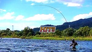 鮎釣り2025 噂のすごい竿で九頭竜川を釣ってみた【スペシャルエアロドライバー】