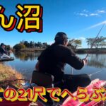 びん沼へらぶな釣り！極寒期に向けて初めての21尺！激安ロッドなので重すぎるがやっぱり長竿は楽しい