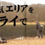 渓流釣りオフシーズンは管理釣り場でフライフィッシングを楽しもう！ 2/2 『フライギャラリー 杉坂友大郎×フライでエリア攻略 福島県・那須白河FS』イントロver.【釣りビジョン】その②