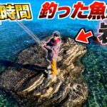 【24時間】何もない"海の上の岩山"で釣った魚だけで生き残れ！！