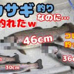 【ワカサギ釣り】ワカサギ釣りに行ったら外道連発！28～46㎝の外道とナイロンハリス0 4号の電動リールで闘ったあの日【東古屋湖】釣り上げた魚はヤシオマスだったので、食べたら美味しかった♡