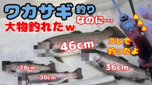 【ワカサギ釣り】ワカサギ釣りに行ったら外道連発!28~46㎝の外道とナイロンハリス0 4号の電動リールで闘ったあの日【東古屋湖】釣り上げた魚はヤシオマスだったので、食べたら美味しかった♡