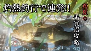 手賀沼水系　　灼熱釣行で2連続フィッシュ！！【手賀沼】#fishing #釣り