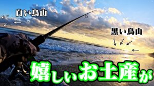 【2日連続釣行】遠州灘サーフ"鳥山＆ベイト"が多発していた中にルアーを投げると…🐟in遠州灘、田原サーフ【釣行日2024/12/02(月)】