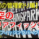 【佐賀の管理釣り場】　フィッシングパークひらの　「天空のエリアフィッシング」　公式プロモーションムービー3　ニジマス　平之ニジマス釣堀公園　ルアー　フライ　エリアトラウト