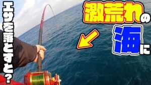 【離島生活#35】荒れた海でもエサを撒けば魚は寄ってくる!?
