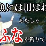 自宅から377km！スレ知らずの爆釣池に行ってみたFishing Girl | Best Fishing Video