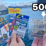 【冬の海】500円分のアオイソメで釣りをしたら何種類釣れるの？