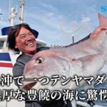【釣り百景】#568 福島県沖で一つテンヤマダイ 魚影濃厚な豊饒の海に驚愕！