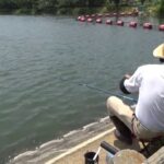 コイ釣り八十八ヶ所　#69：茨城県・砂沼（さぬま）