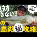 【9代目艇王が語る、三島湖の魅力とは!?】秋の三島湖マル秘攻略法 松本幸雄