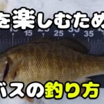 冬の川スモールの釣り方と魅力を徹底解説！魚の居場所を捉えるキーポイントとは⁉️【Black bass】【初心者】【12月】【1月】