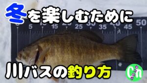 冬の川スモールの釣り方と魅力を徹底解説!魚の居場所を捉えるキーポイントとは⁉️【Black bass】【初心者】【12月】【1月】