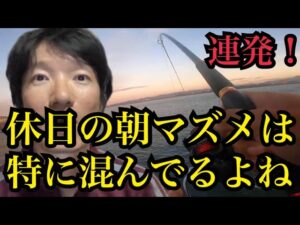 まずは休日の浜名湖でサビキ釣り🔥泳がせ釣り🔥Dジギング 🔥