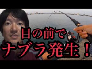 浜名湖でDジギ、サビキ、泳がせ釣り🎣