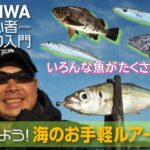 【DAIWA 初心者釣り入門】渡邉長士のやってみよう！ 海のお手軽ルアー釣り編