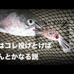 結局冬はこのルアーが釣れるよね。【ならやま沼漁場】【エリアトラウト】【モカDRSS】