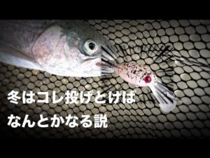 結局冬はこのルアーが釣れるよね。【ならやま沼漁場】【エリアトラウト】【モカDRSS】