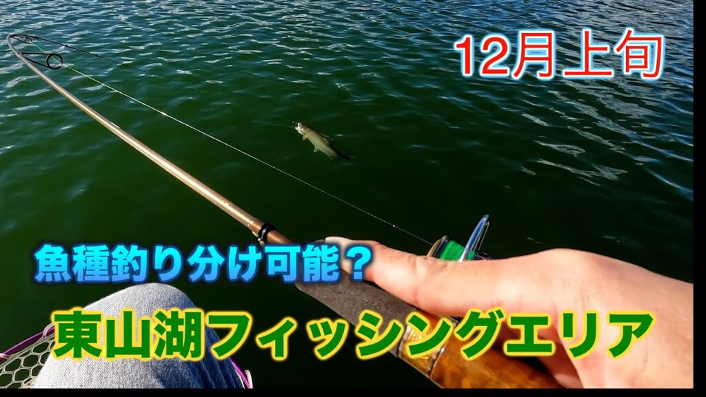 【東山湖FA】表層:サクラマス、ボトムより少し上:ニジマス、底:カットスロートと釣れるレンジで魚種釣り分けができた12月上旬の東山湖フィッシングエリアさん／エリアトラウト