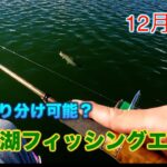 【東山湖FA】表層:サクラマス、ボトムより少し上:ニジマス、底:カットスロートと釣れるレンジで魚種釣り分けができた12月上旬の東山湖フィッシングエリアさん／エリアトラウト