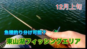 【東山湖FA】表層:サクラマス、ボトムより少し上:ニジマス、底:カットスロートと釣れるレンジで魚種釣り分けができた12月上旬の東山湖フィッシングエリアさん／エリアトラウト