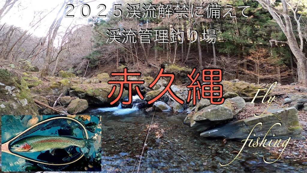 赤久縄 渓流管理釣り場 ２０２５渓流解禁に備えた Fly fishing