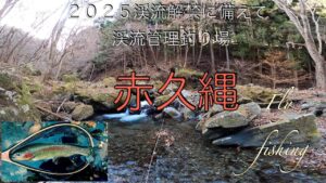 赤久縄 渓流管理釣り場 ２０２５渓流解禁に備えた Fly fishing