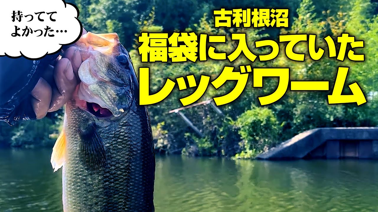 福袋に入っていたレッグワームでGET【古利根沼バス釣りカヤック】