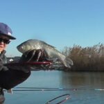 【筑波流源湖】久しぶりにGYOGUNの例会に参加してきたよ！