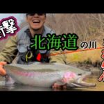 【北海道 釣り】わけわからんモンスター! 奇跡のニジマス釣れちゃった~ Giant Trout fishing ~