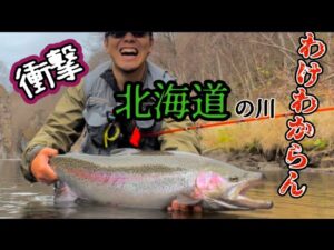 【北海道 釣り】わけわからんモンスター! 奇跡のニジマス釣れちゃった~ Giant Trout fishing ~
