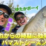 GoPro釣果便『五三川で炸裂・これからの時期に効果的バマストシーズン到来』ゆたかボーイ/岡 友成