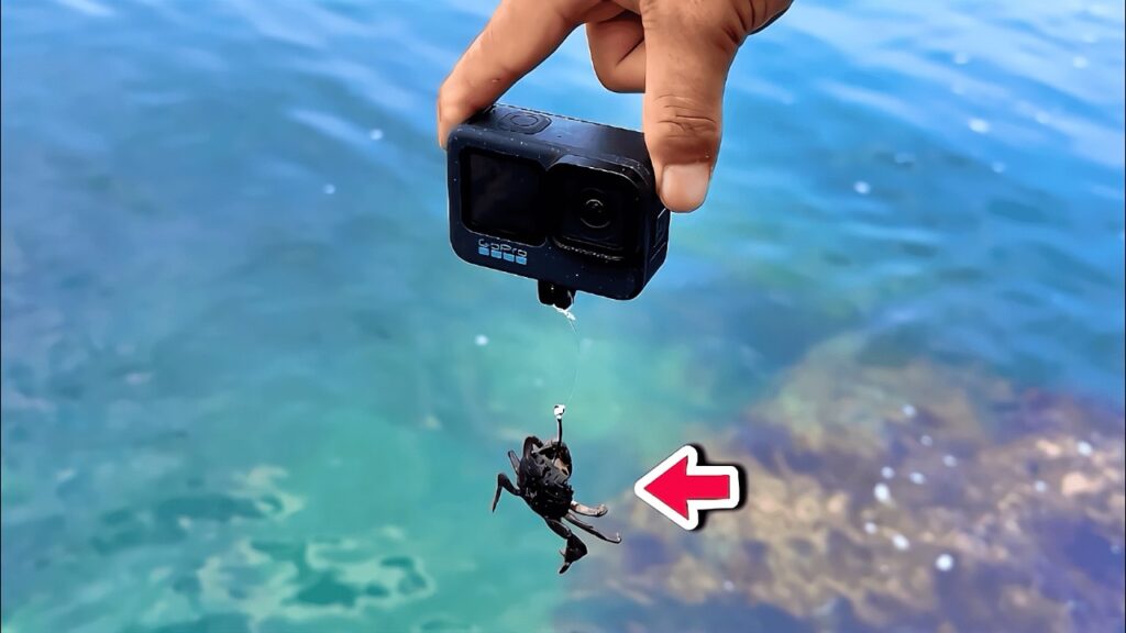 カニとGoProを海に落とすと…