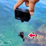 カニとGoProを海に落とすと…