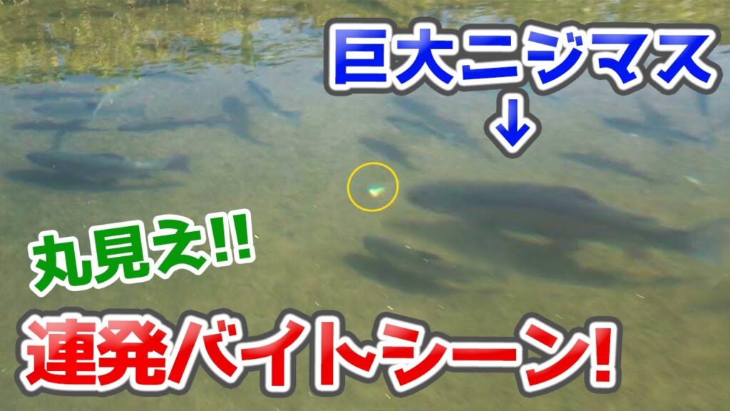 群馬の穴場エリアを初調査したらヤバかった！【エリアトラウト・管理釣り場・片品川国際マス釣り場・釣り】／HartDesign TV(ハートデザインTV) 【Vol.386】