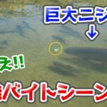 群馬の穴場エリアを初調査したらヤバかった！【エリアトラウト・管理釣り場・片品川国際マス釣り場・釣り】／HartDesign TV(ハートデザインTV) 【Vol.386】